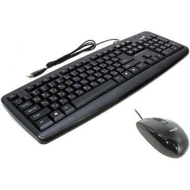 Клавиатура + мышь Genius KM-100Х black, USB (KB-110X + DX-100X)