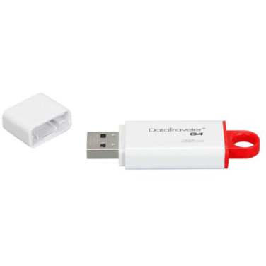 Память Flash Drive 32Gb Kingston DataTraveler G4 (DTIG4/32G)